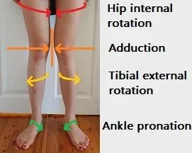 Diagram of hip internal rotation, adduction, tibial external rotation, and ankle pronation in the legs