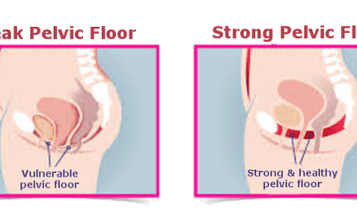 What happens on the first day of pelvic floor physical therapy?